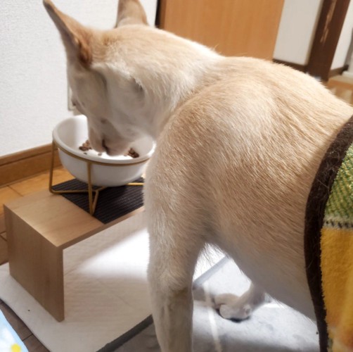 横着する姿も可愛い（笑）