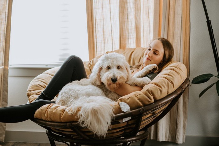 女性の隣で眠ろうとする犬