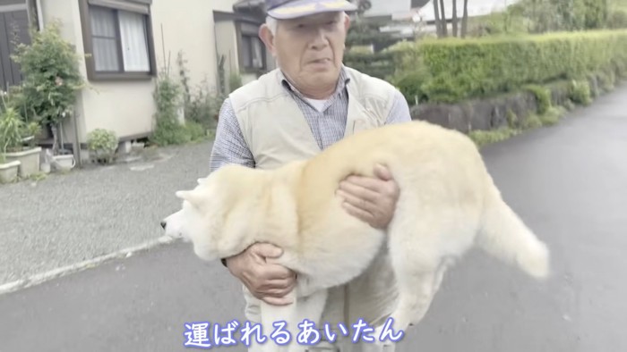 抱っこされてお外へ