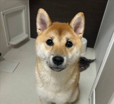 毎日お風呂で
