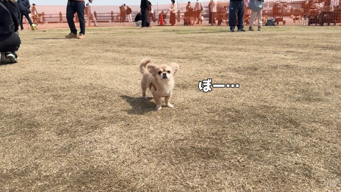 ぼーっとして休憩中