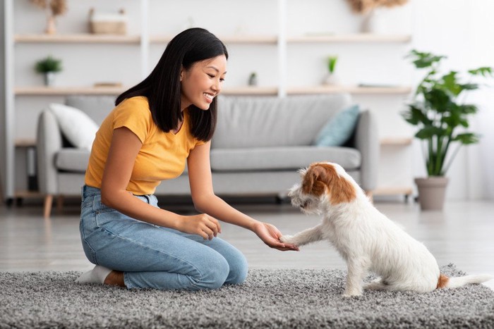 女性にお手をする犬