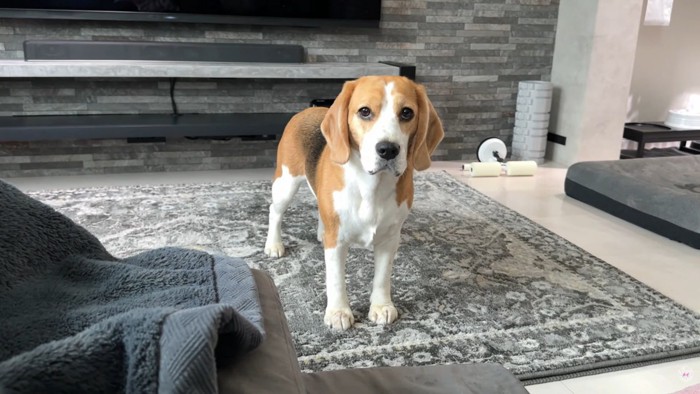 出勤前のママさんとメイちゃん