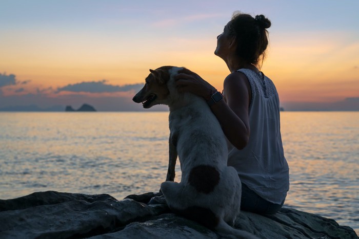 シルエット犬と女性