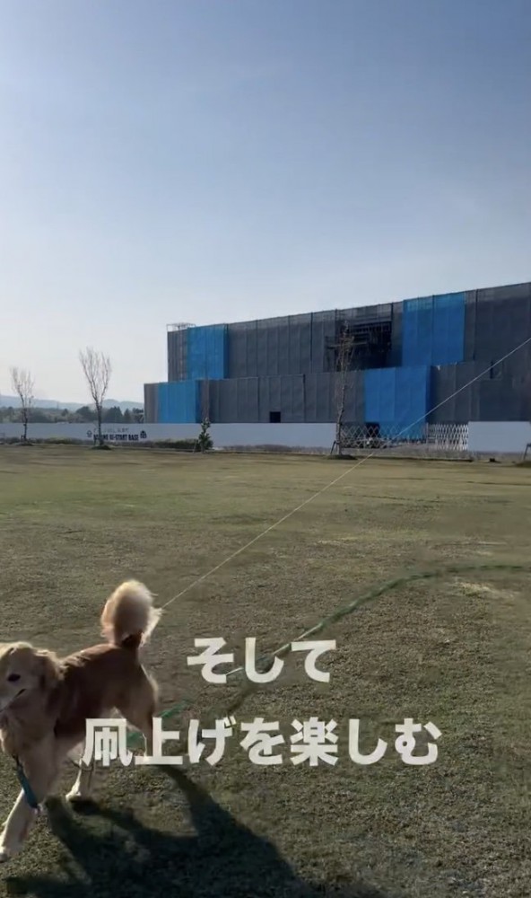 楽しんでる