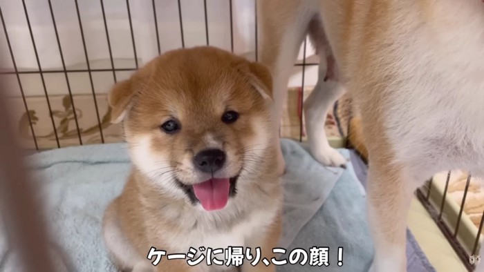 「あ~面白かった!」