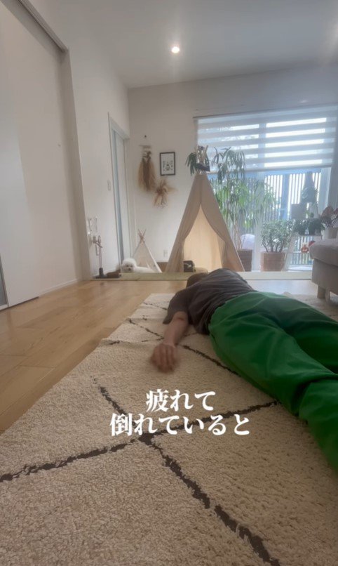 飼い主さんが寝ていた時のエマくん＆ハルくん