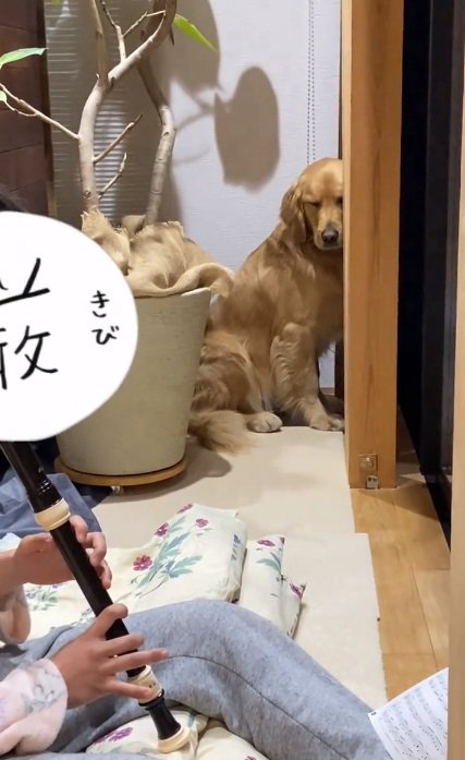 目をつむるならちゃん