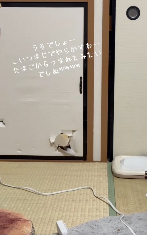 大きく手を出す凛くん