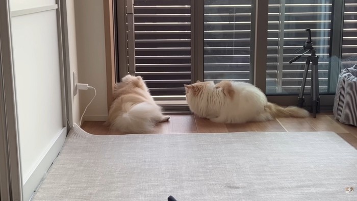 あっという間に仲直り♡