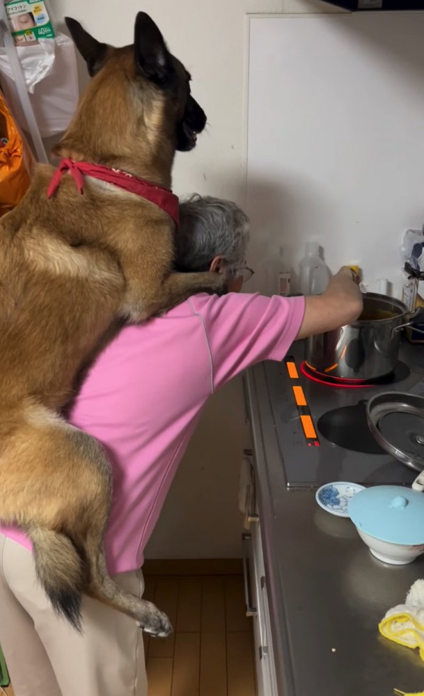 おんぶしてもらう大型犬