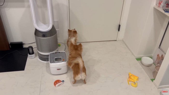 お迎えに来たら…