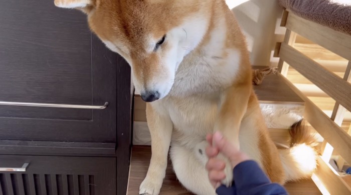 しっかり約束しました