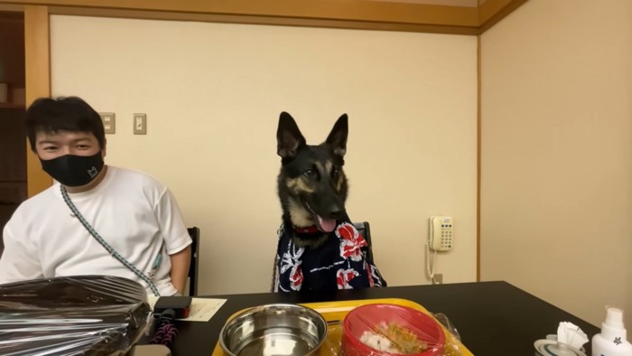 男性と犬