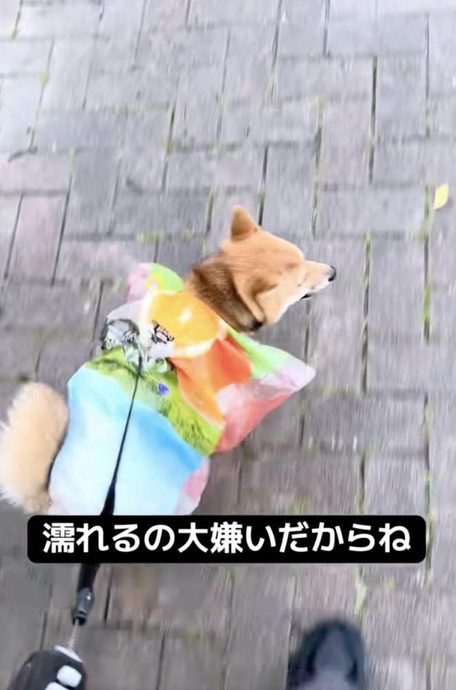 オシャレに見えてくる不思議