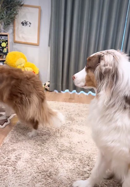 サークルの中へ避難