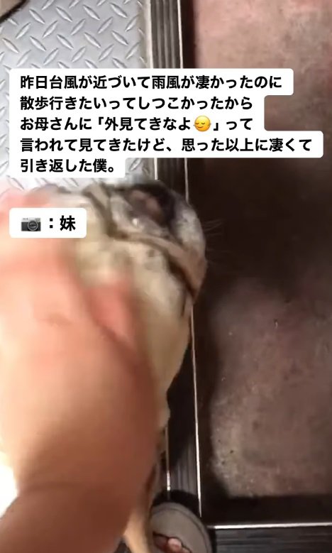 「ムリなお願いでしたわ」