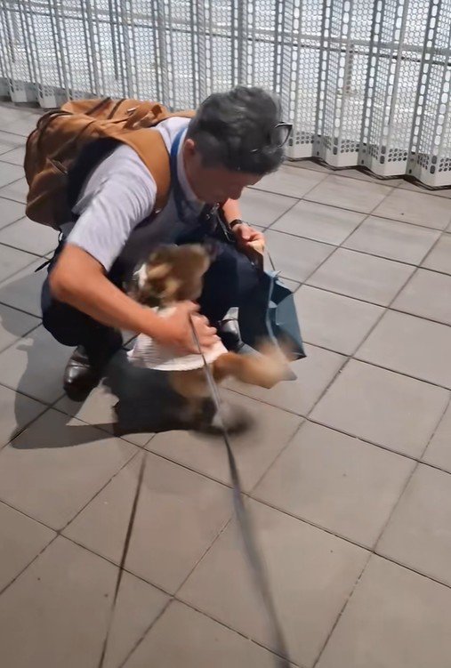 CoCoちゃんとパパさんの再会8