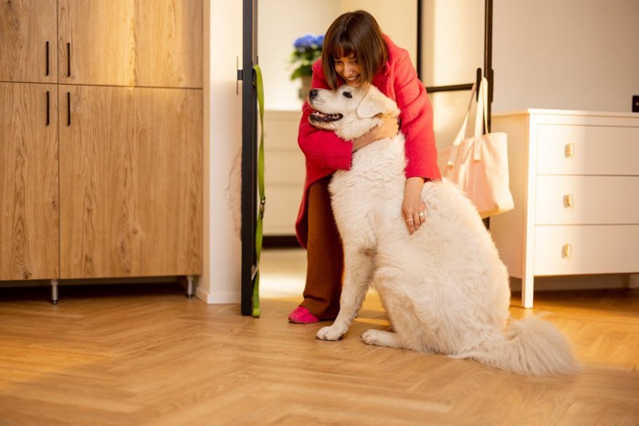 女性を出迎える犬