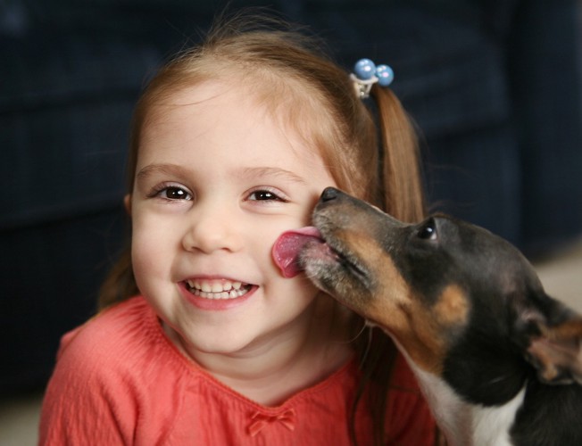 子供の顔を舐める犬