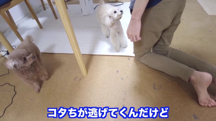 「謝らないと許さないよ!!」