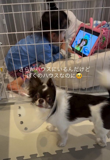 女の子に占拠された!?