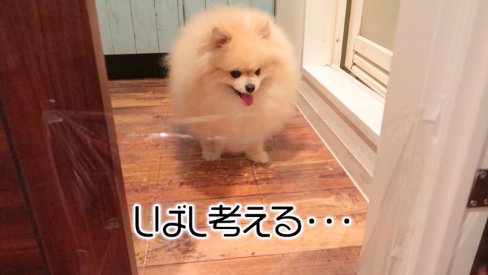 シンキングタイム