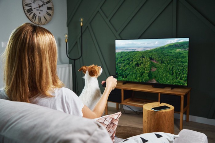 テレビを観る飼い主と犬