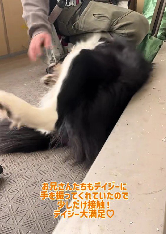 「やっとなでてくれた♡」