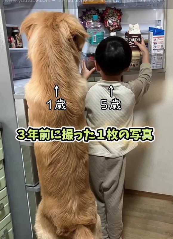 背伸びして冷蔵庫を物色♪