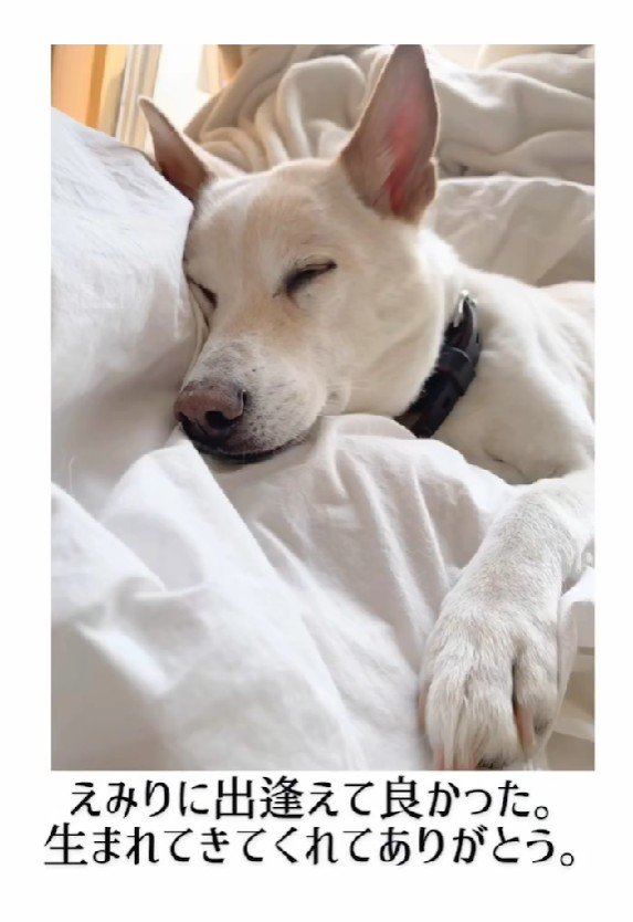 「生まれてきてくれてありがとう」