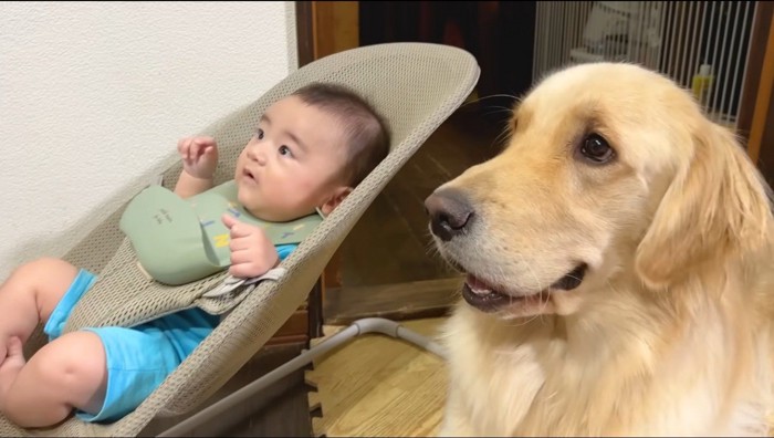 赤ちゃんの隣で伏せをする犬