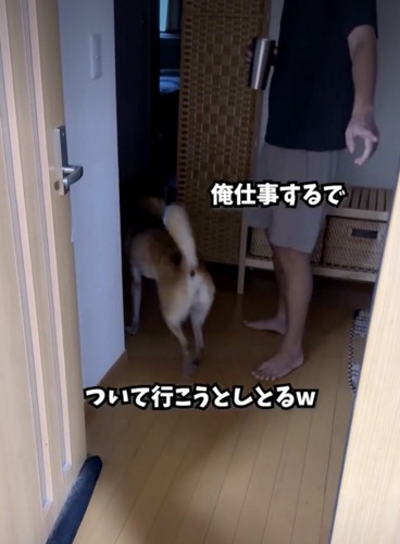 パパから離れたくないアキさん