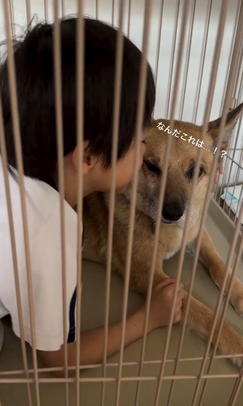 おふとん君と男の子4