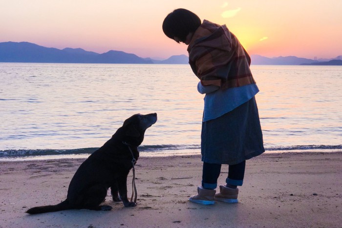 見つめ合う犬と女性