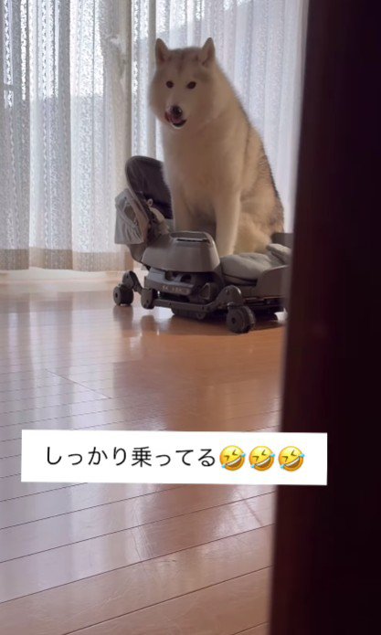 満足気な表情に爆笑！