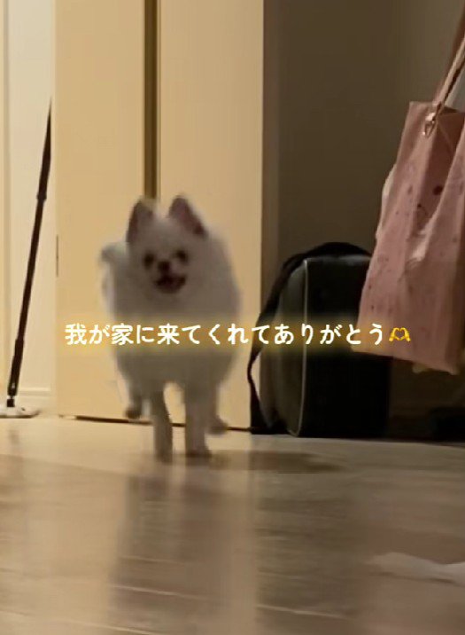 家族になってくれてありがとう