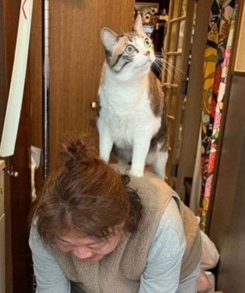 背中にアリィちゃんが！