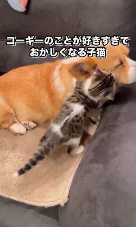 めげずにアピール♡