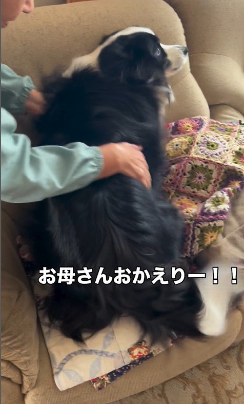 マリちゃんの熱烈歓迎3