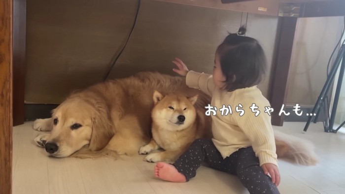 おからちゃんもね♡