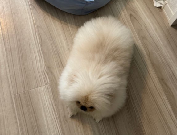 四角さ