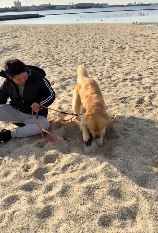 海辺でのハプニング9