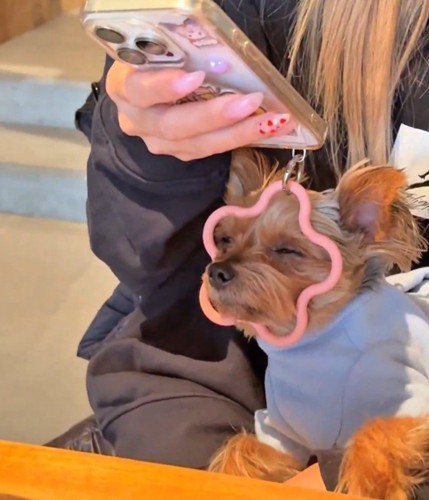 リングにお顔を突っ込んでウトウト…