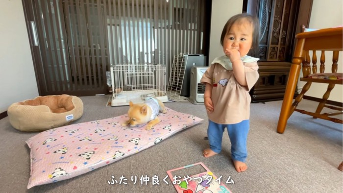 おやつを食べる犬と赤ちゃん