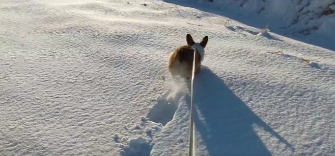 コギ跡が