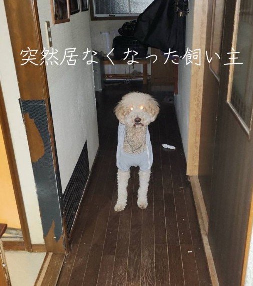 入院中に送られてきたLINE