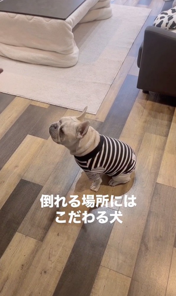 「…」