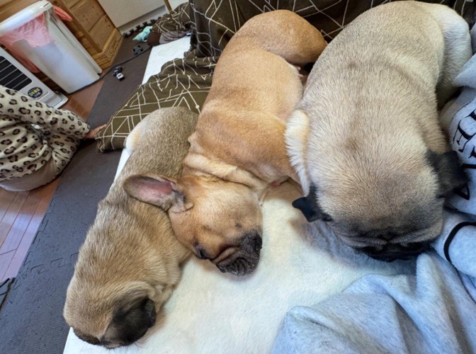 仲良くお昼寝中♡