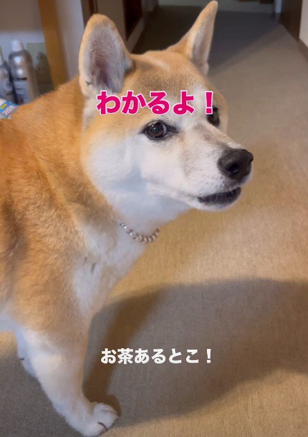 「できる！」